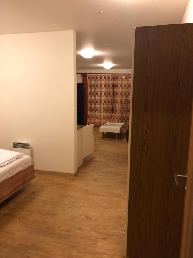 L&B Lake View Modern Apartment Lipno nad Vltavou Esterno foto