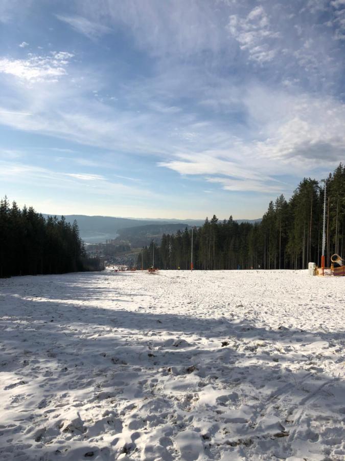 L&B Lake View Modern Apartment Lipno nad Vltavou Esterno foto