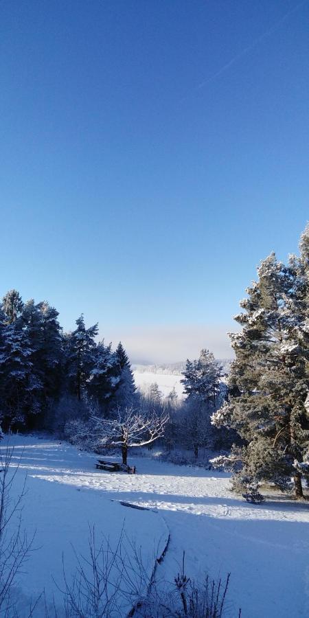 L&B Lake View Modern Apartment Lipno nad Vltavou Esterno foto