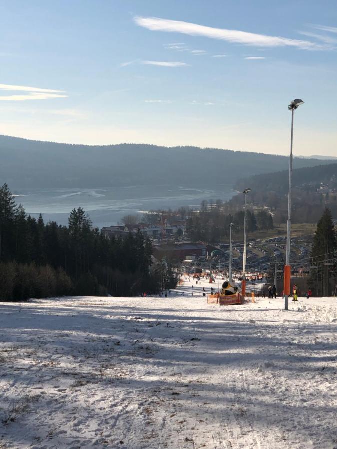 L&B Lake View Modern Apartment Lipno nad Vltavou Esterno foto