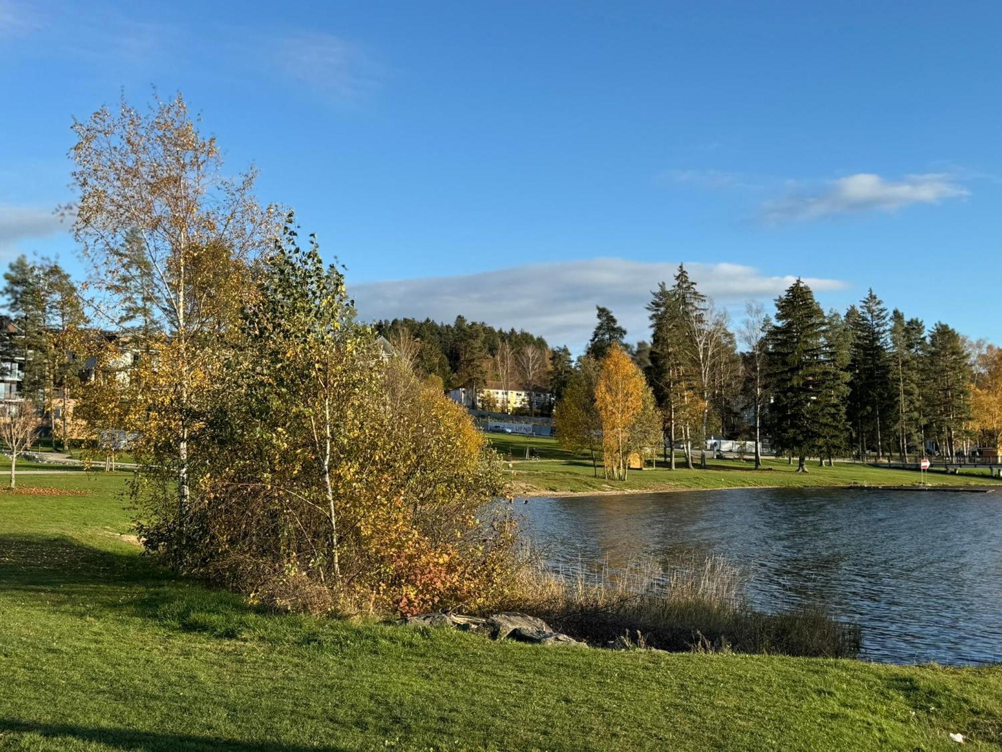 L&B Lake View Modern Apartment Lipno nad Vltavou Esterno foto